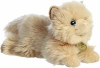 Aurora Chat persan 8.5" 092943264267