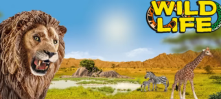 Vie sauvage (Wild life)